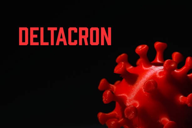 Coelocaliente: The Modern Digital Concept Redefining Creativity and Online Identity Betametacron