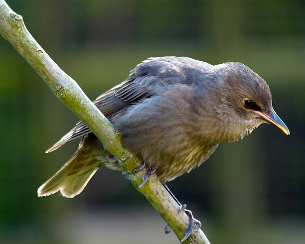 Juvgwg: The Complete Guide to Understanding This Rising Digital Keyword in 2025 Juvgwg